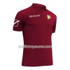 Maillot Foot Homme Venezuela Domicile Copa América 2019 Maillot Foot Homme Venezuela Domicile Copa América 2019